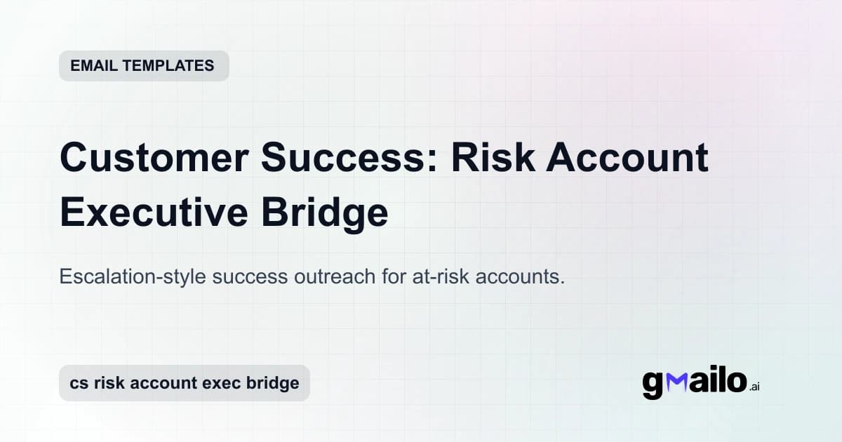 Customer Success: Risk Account Executive Bridge email template thumbnail